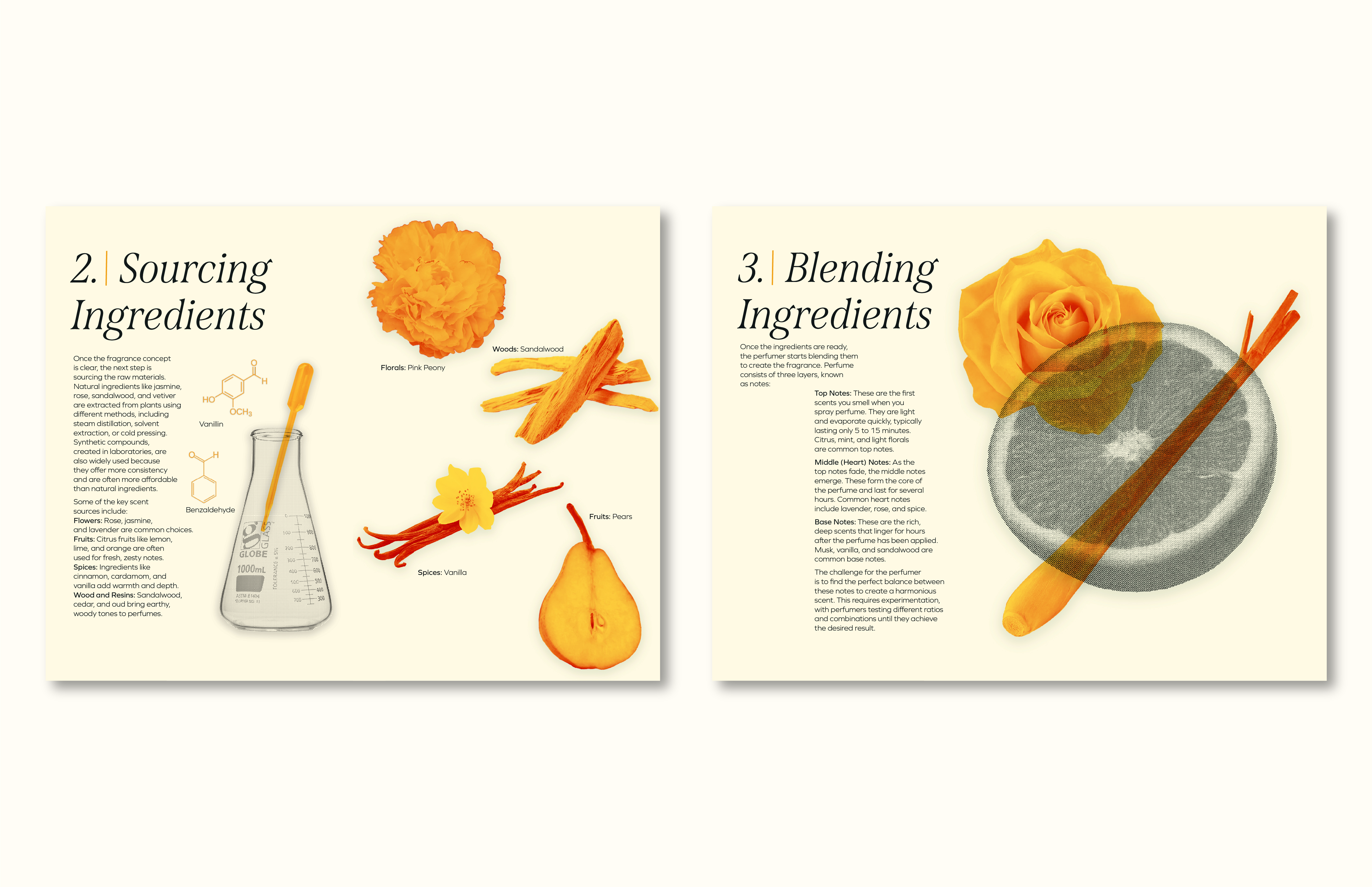 Steps 2 and 3 of Perfume Zine displayed